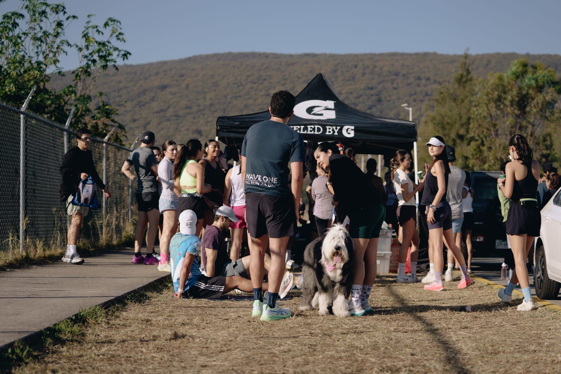 Wave One runners gathered around a Gatorade tent with a big sheepdog after the shake out
